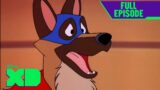 Flash the Wonder Dog | S1 E4 | Full Episode | Chip n Dale Rescue Rangers | @disneyxd
