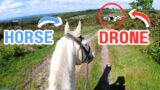 HORSE vs DRONE – POV Groom, Tack Up, Ride with Me!