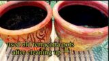 HOW TO CLEAN AN OLD USED TERRACOTTA POTS TO MAKE THEM LOOKS NEW ?  WHAT IS A GOOD SOIL ?