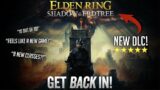 How to Get Back Into Elden Ring After Being Gone For Years! (Shadow of the Erdtree)