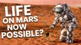 Humans on MARS – The Possibility of SURVIVAL? | BigBrainco. #shorts ft. @jumpformbyyashtalreja634
