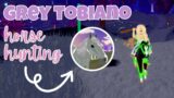 Hunting for the *GREY TOBIANO* Paint Horse on Lunar Islands! | Wild Horse Islands
