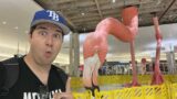 I Had To Leave Florida Due To A Family Emergency – There’s A Giant Flamingo at the Tampa Airport