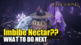 Imbibe Nectar? What To Do Next & Missable Quest | Shadow of Erdtree (Elden Ring DLC)