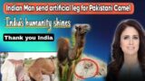 Indian sending Artificial leg for the Camel in Pakistan, India's humanity shines.