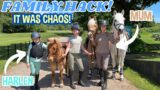 JOIN US ON A FAMILY HACK WITH THE PONIES… IT WAS CHAOS!!