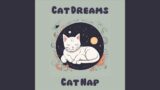 Kitty's Dreamscape: Music for Cats