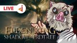 LORD COME BACK DI 2024 !! ZERO DEATH !! – Elden Ring : Shadow of the Erdtree [Indonesia] #12