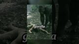 Man Raised By Gorillas.#movie #funny