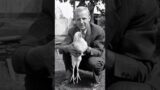Mike the Headless Chicken: The Incredible Story of Survival Against All Odds