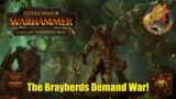 Morghur Brings Mutation & Ruin!  Beastmen Achievement Hunt Stream Part 3