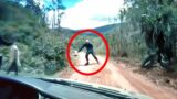 Most Terrifying Police Encounters With Monsters Caught On Camera