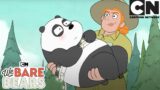 Panda gets kissed | We Bare Bears Complete Season 2 | Cartoon Network | Cartoons for Kids