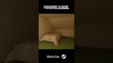 Paradise Nowhere (Pre-Alpha) – GuestHouse Teaser #liminalspace #backrooms #gaming
