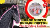 Riding A Stallion To The Dublin Portal | Busy Streets Hacking