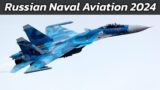 Russian Naval Aviation 2024 | Aircraft Fleet