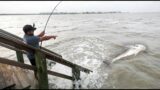 Saltwater Fishing for MONSTERS at Goose Island!