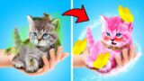 Saved Homeless Cat! How to Take Care of your Pets – Smart Cat Gadgets