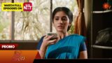 Singappenne – Promo | 29 May 2024  | Tamil Serial | Sun TV