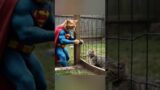 Super Cat to the Rescue! Saving Kitten from Wire Fence Trap. #KittenRescue  #AnimalRescueVideos