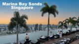 The world  best infinity pool ? Marina bay sands observation deck and swimming pool