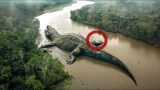 They Just Captured It In The Amazon Jungle And Nobody Can Believe It