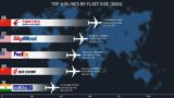 Top 10 Airlines By Fleet Size (2024)