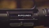 $UICIDEBOY$- BURGUNDY (Lyric Video)