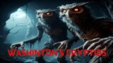 What Lurks in the Shadows of Washinton: Cryptids Revealed
