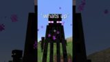 Why You Can't Look at Enderman…