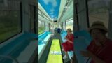 Would You Ride the Sky Train?