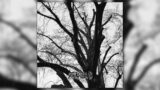 Zkarv – Hangman's Grief (Full mini-album)