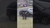 dog rescues owner from thieves #shorts