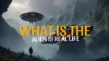 "UFO Fleet Spotted: Multiple Unidentified Flying Objects in the Sky!"2024#world#INFO