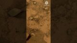 4k Latest Views From Mars Surface #Youtube #Shorts