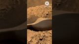 Mars Latest 4k Stunning Video #YouTube #Shorts