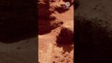 4k Latest Views From Mars Surface #YouTube #Shorts