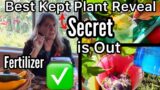 AMAZING Garden Fertilizer, Container Gardening, Raised Bed Garden, HIGH Yield, for Vegetable Plants