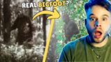 Bigfoot Evidence So Compelling Professionals Are In Disbelief!