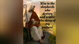 CATHOLIC MEDITATION: SUNDAY – 21 JULY, 2024. (16TH SUNDAY – ORDINARY TIME, YEAR B).