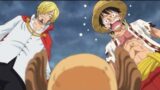 Chopper takes his hat off- One Piece Dub