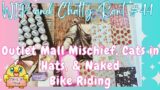 Diamond Painting WIP & Chatty Rant #44- Outlet Mall Mischief, Cats in Hats & Naked Bike Riding