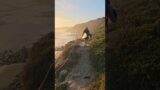 Dreamscape of Crystal Cove State Beach Revealed