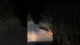 Driving alone at night on the American death road #shorts