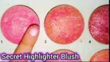 Game Changer Rivaj Terracotta Blush on – Worth Buying Blushon in 850/Rs