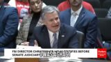 Good Heavens, Director!': Hawley Savagely Confronts FBI's Wray About Investigations Of Cath