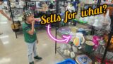 Insane Goodwill Finds for 2 days!