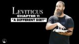 Leviticus 11 | "A Different Diet" | Daniel Fox | Riverview Christian Fellowship