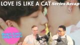 Love is Like A Cat Series Recap | Boys Love Boys Love