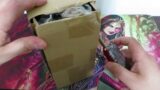 Mail Time – Tiger Mask Egypt Mirra